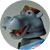 Bobble Head Hippo